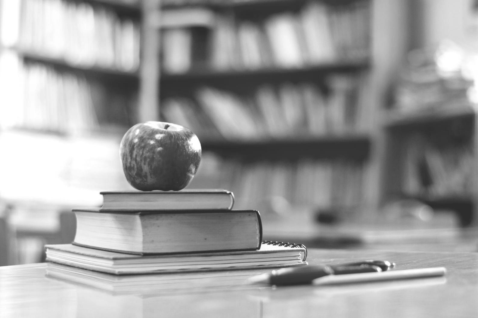 Data-driven decision framework demonstration